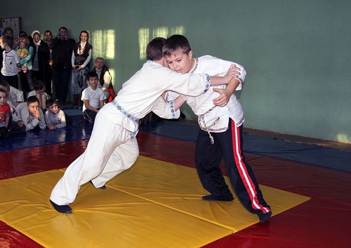        () kolomna borba trizna 2012 01