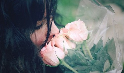 Цветы, букет Цветы, букет