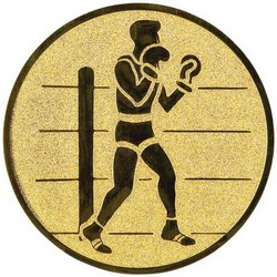 Бокс в Коломне Бокс в Коломне
