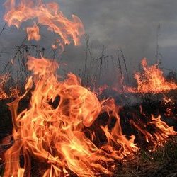 пожар пожар