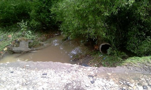 kolomna_SNT_tayozhnyi