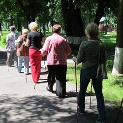 Скандинавская ходьба Скандинавская ходьба