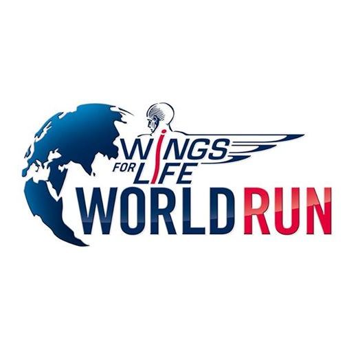 Коломна kolomna-Wings For Life World Run