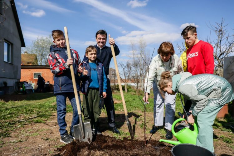 Губернатор Московской области Андрей Воробьев вместе с приемной семьей в Луховицах посадил яблоню Губернатор Московской области Андрей Воробьев вместе с приемной семьей в Луховицах посадил яблоню
